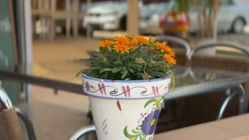 Zona de mesas del restaurante